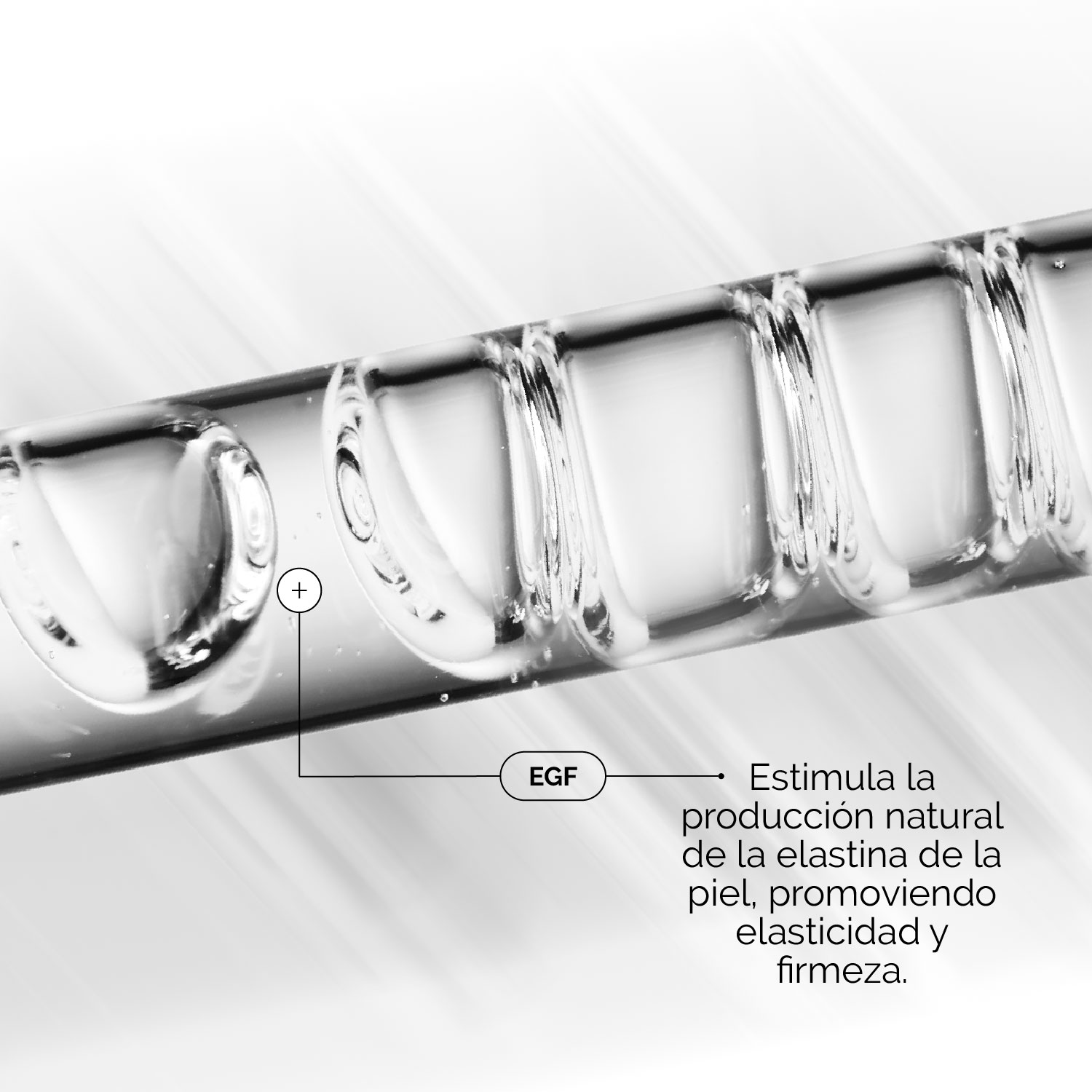 GROWTH FACTORS 15% SOLUTION 30 ML (SUERO CON 3 FACTORES DE CRECIMIENTO PARA MEJORAR SIGNOS DE LA EDAD)